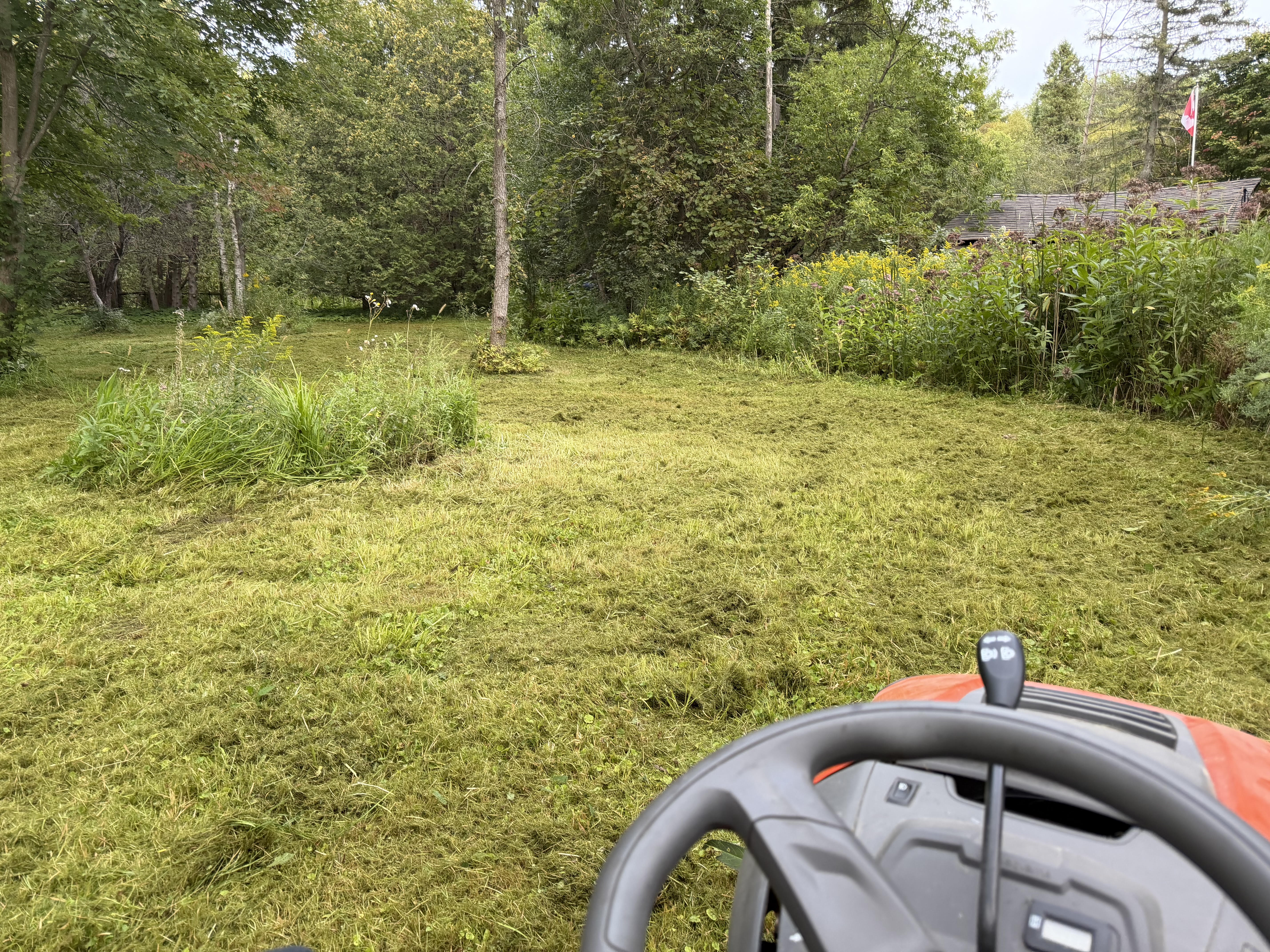 Freshly cut green lawn